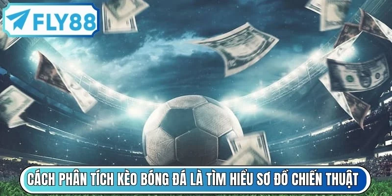 Cách phân tích kèo bóng đá là tìm hiểu sơ đồ chiến thuật của HLV