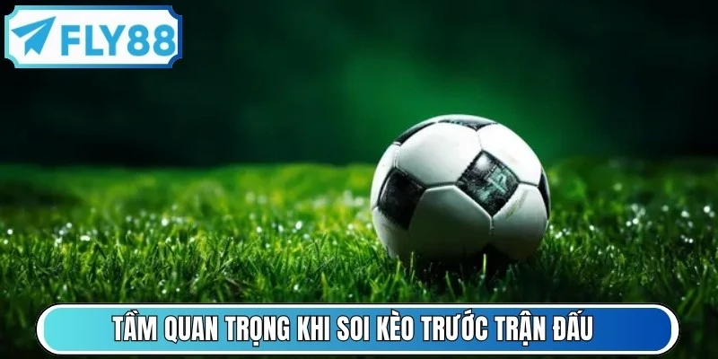 Tầm quan trọng khi soi kèo trước trận đấu là đảm bảo tính an toàn