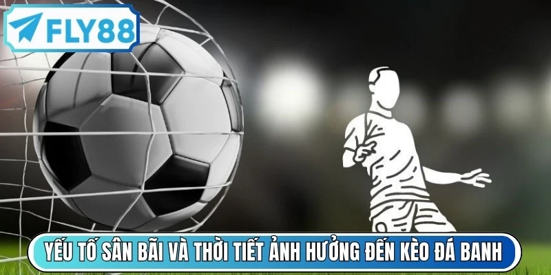 Yếu tố sân bãi và thời tiết ảnh hưởng đến kèo đá banh