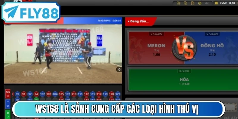 WS168 là một trong những sảnh cung cấp các loại hình thú vị tại Đá gà FLY88