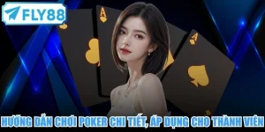 Hướng dẫn Chơi Poker Chi Tiết, Dễ Áp Dụng Cho Thành Viên