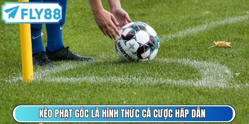 Kèo phạt góc là hình thức cá cược hấp dẫn với tỷ lệ thắng cao