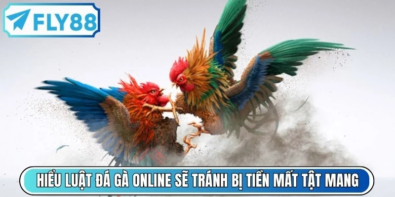 Khi anh em hiểu luật đá gà online sẽ tránh bị tiền mất tật mang
