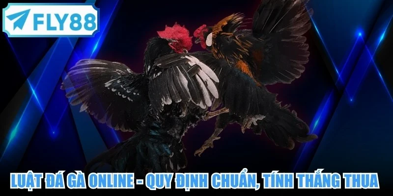 Luật Đá Gà Online - Quy Định Chuẩn, Tính Thắng Thua 2026