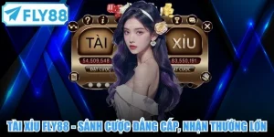 Tài Xỉu FLY88 - Sảnh Cược Đẳng Cấp, Cơ Hội Nhận Thưởng Lớn