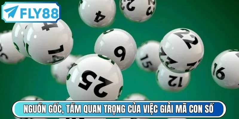 Nguồn gốc, tầm quan trọng của việc giải mã các con số